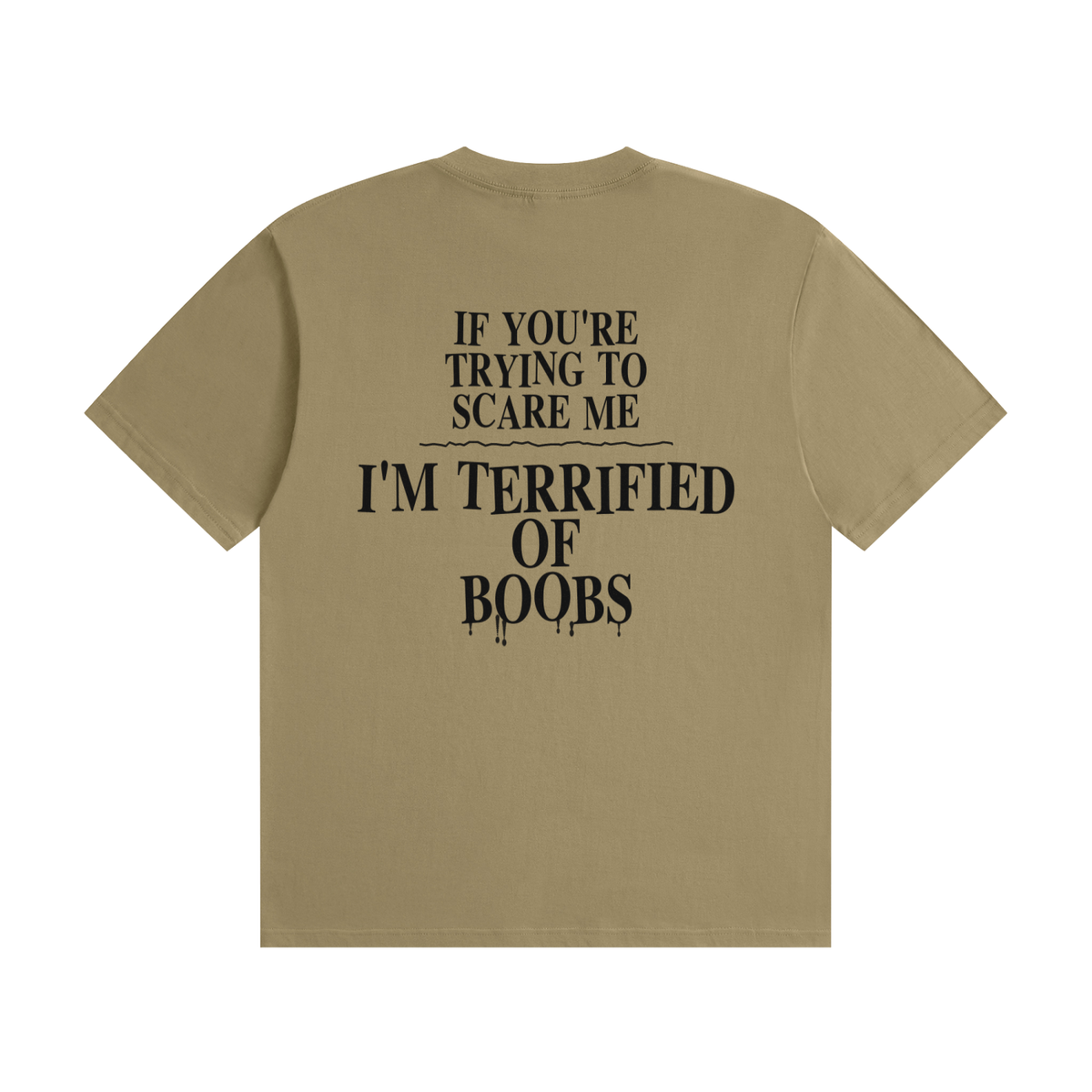 If You're Trying To Scare Me I'm Terrified Of Boobs T-Shirt | Funny Horror Font Tee (BACK)