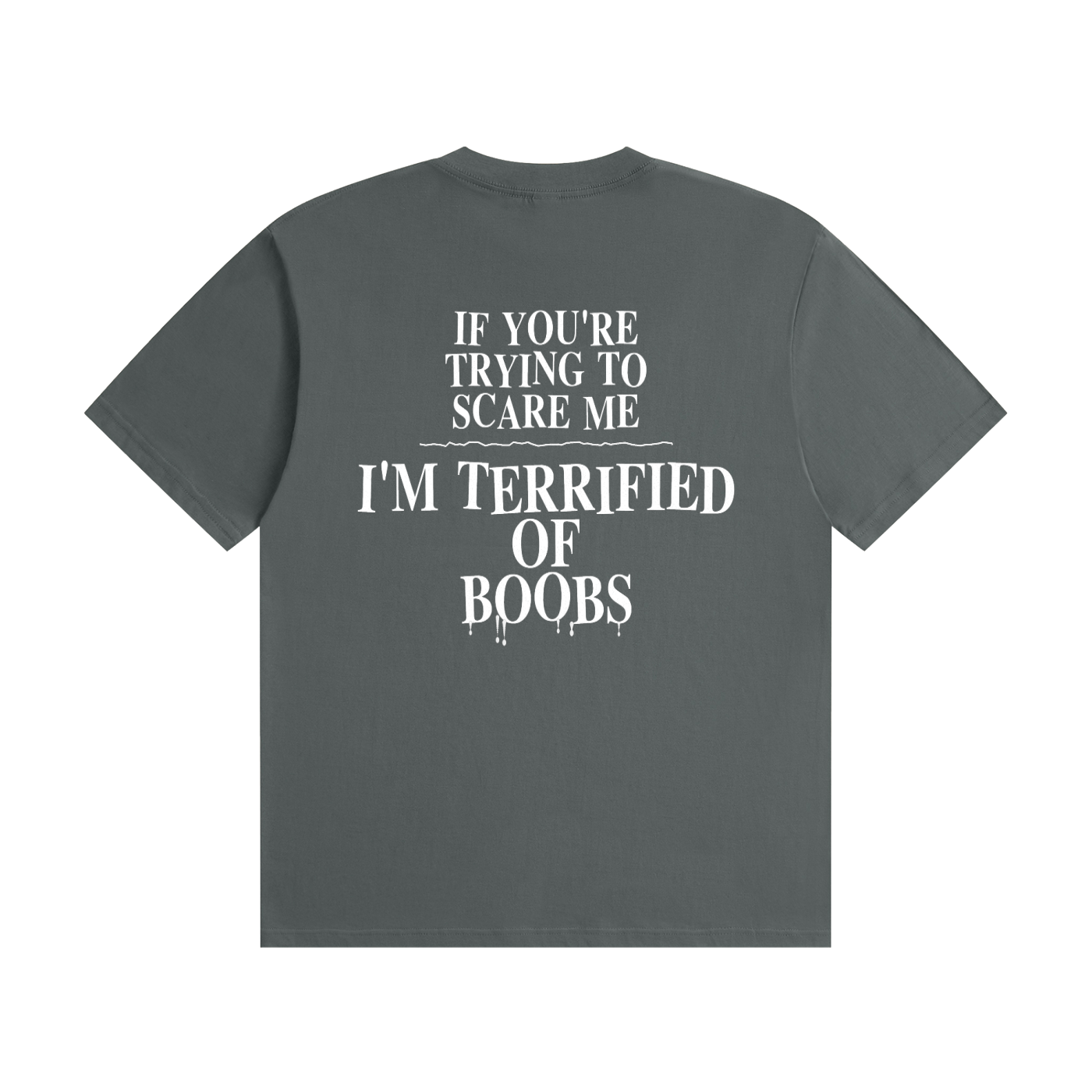 If You're Trying To Scare Me I'm Terrified Of Boobs T-Shirt | Funny Horror Font Tee (BACK)