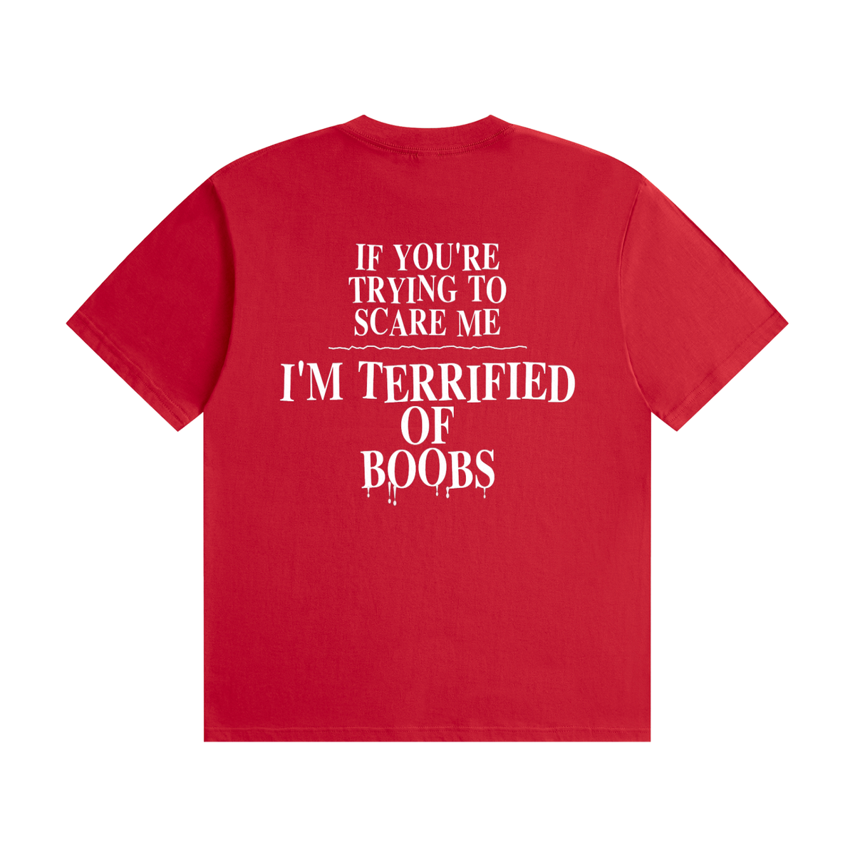If You're Trying To Scare Me I'm Terrified Of Boobs T-Shirt | Funny Horror Font Tee (BACK)