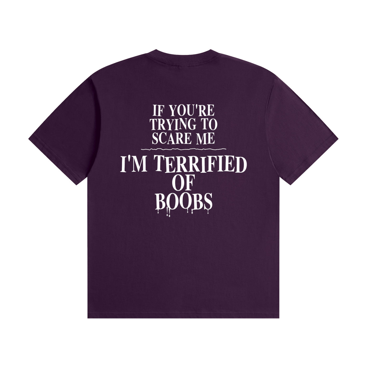 If You're Trying To Scare Me I'm Terrified Of Boobs T-Shirt | Funny Horror Font Tee (BACK)