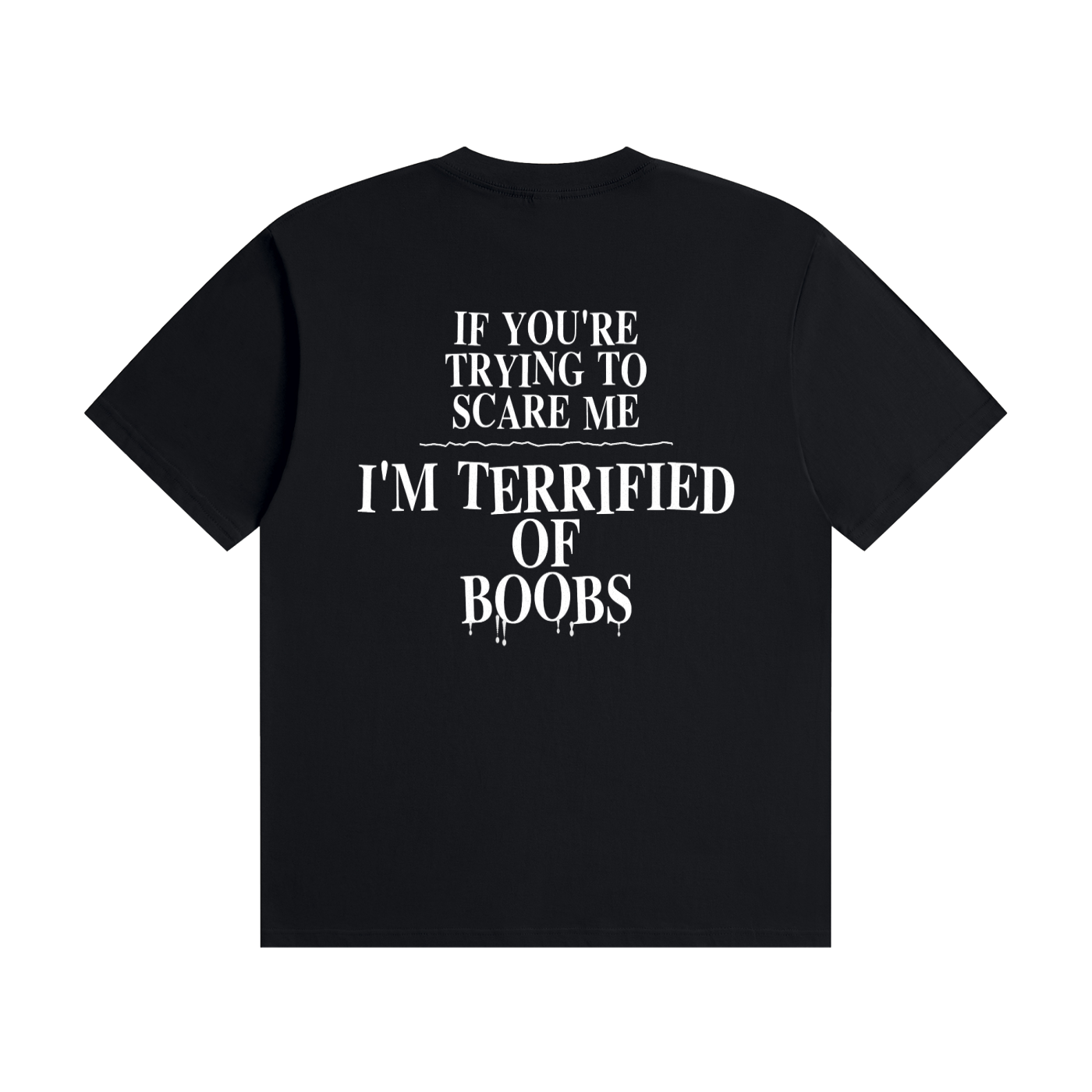 If You're Trying To Scare Me I'm Terrified Of Boobs T-Shirt | Funny Horror Font Tee (BACK)