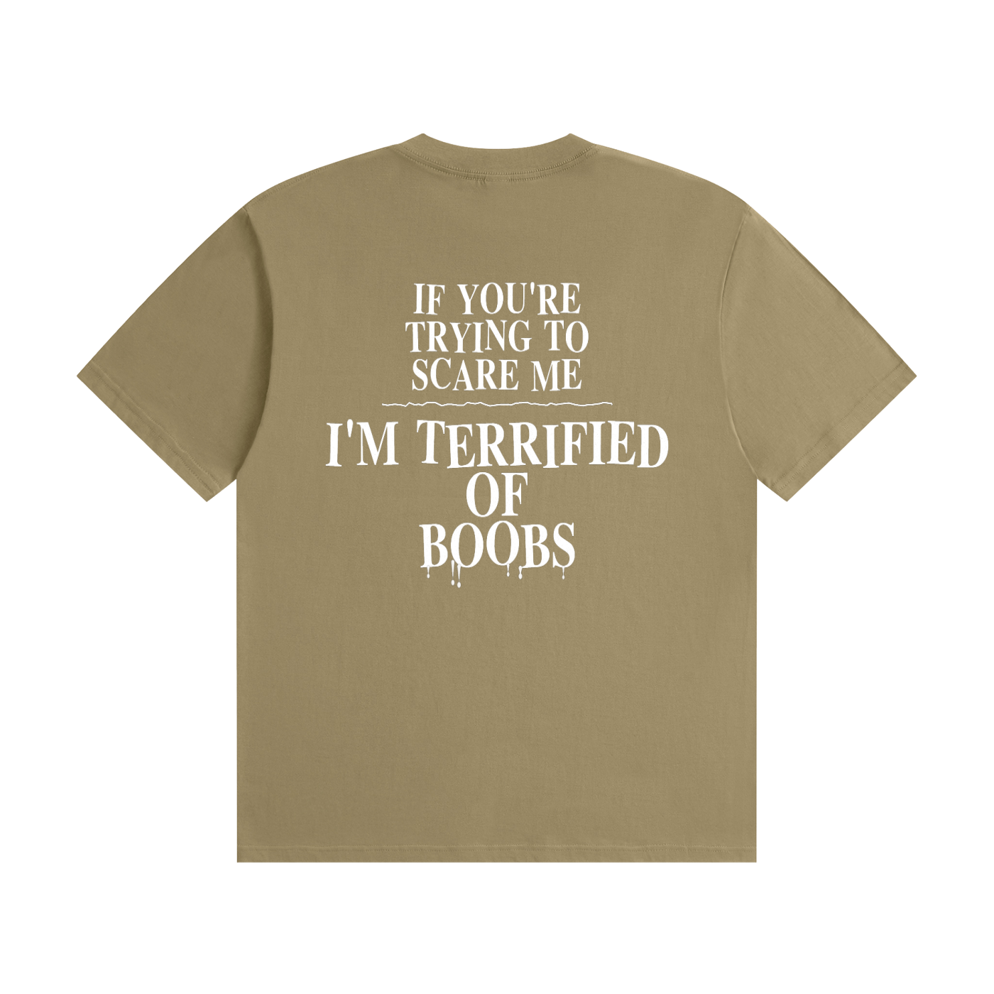 If You're Trying To Scare Me I'm Terrified Of Boobs T-Shirt | Funny Horror Font Tee (BACK)