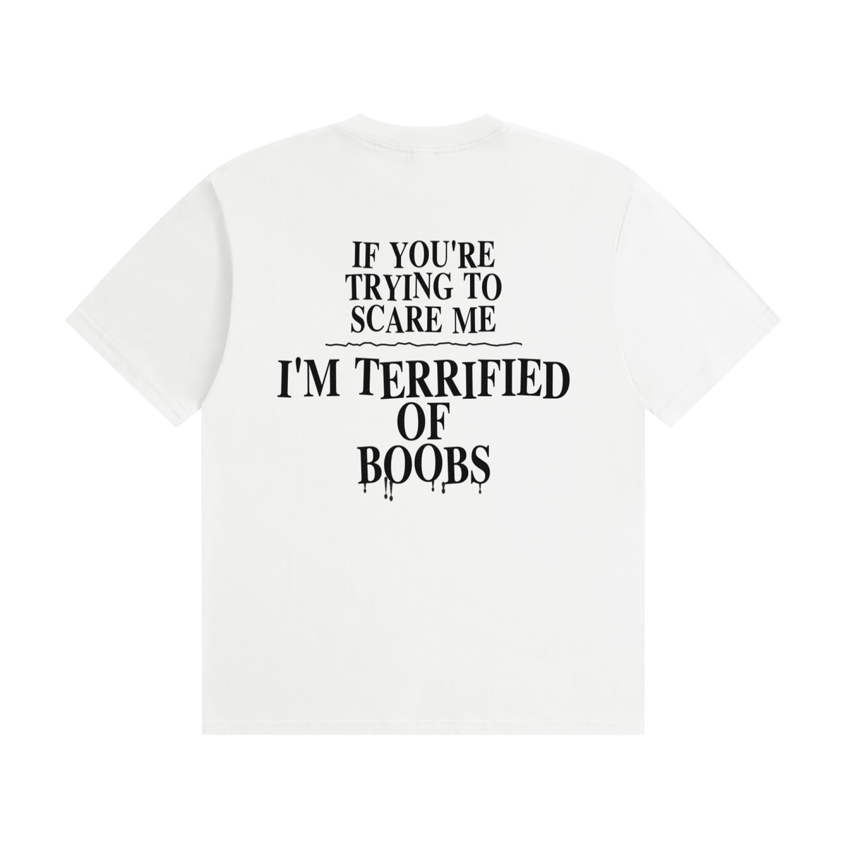If You're Trying To Scare Me I'm Terrified Of Boobs T-Shirt | Funny Horror Font Tee (BACK)