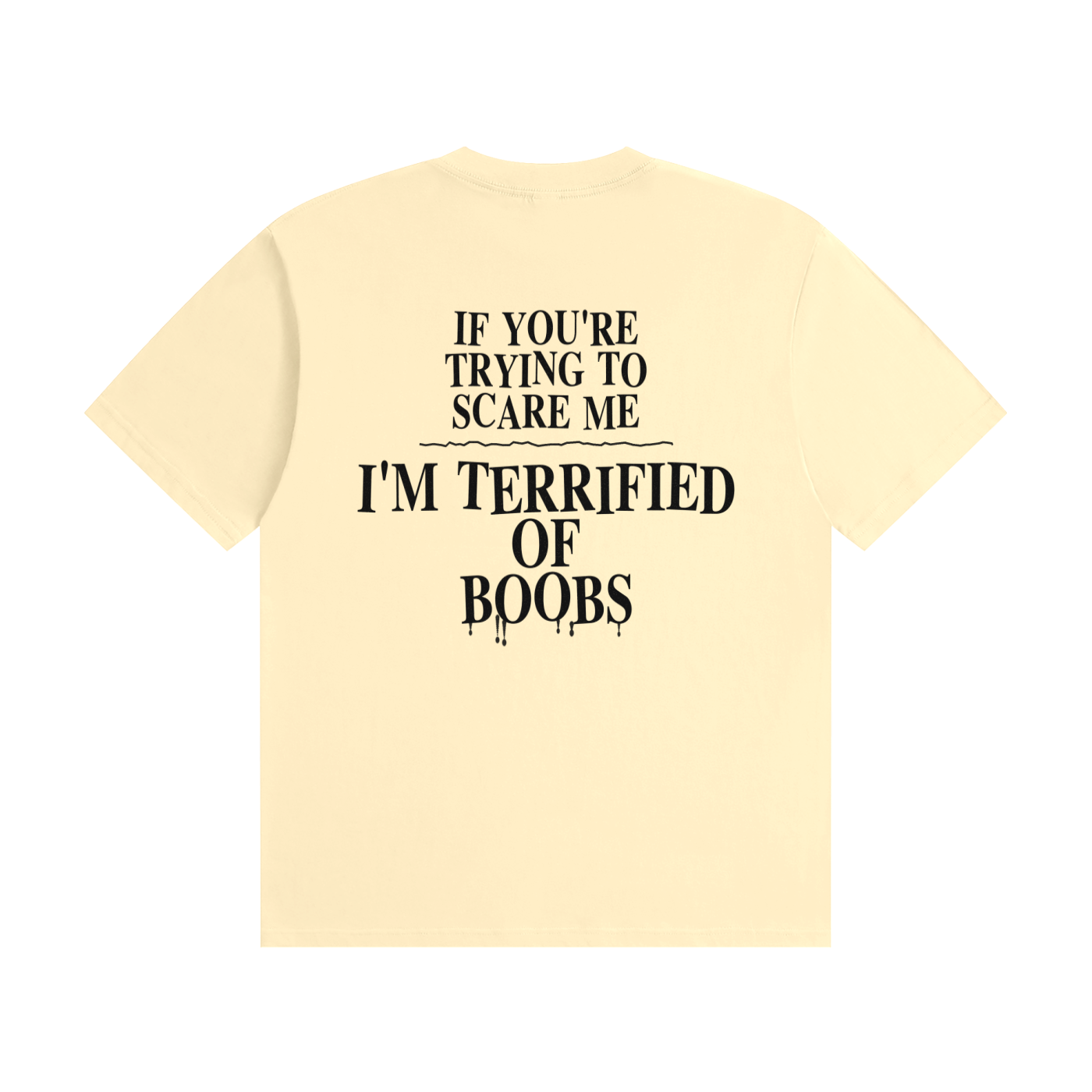 If You're Trying To Scare Me I'm Terrified Of Boobs T-Shirt | Funny Horror Font Tee (BACK)